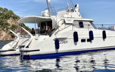 Catamaran Fountaine Pajot catamaran de croisière Fountaine Pajot au large de Porquerolles