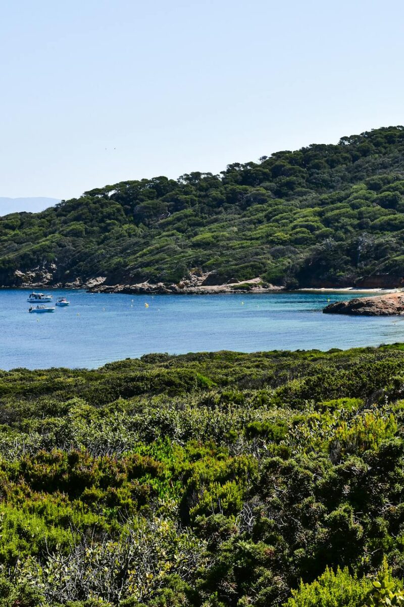 bateau au mouillage à Porquerolles