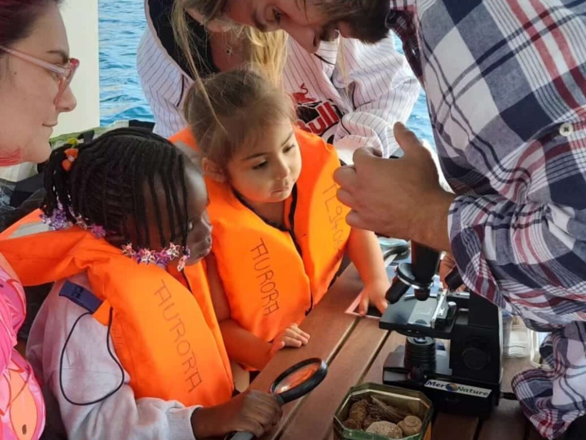 atelier scientifique sur un bateau, dans le Var