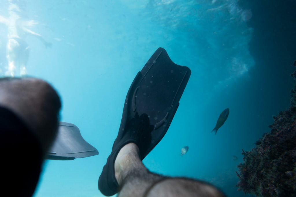 palmes lors d'une sortie snorkeling